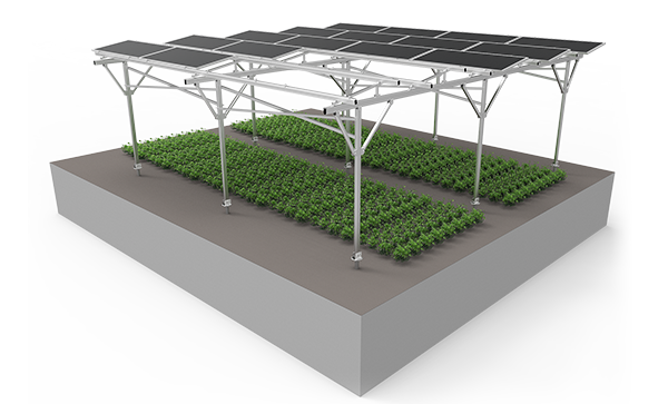 Solar Farm Mounting System Manufacturer | Custom PV Racking Solutions